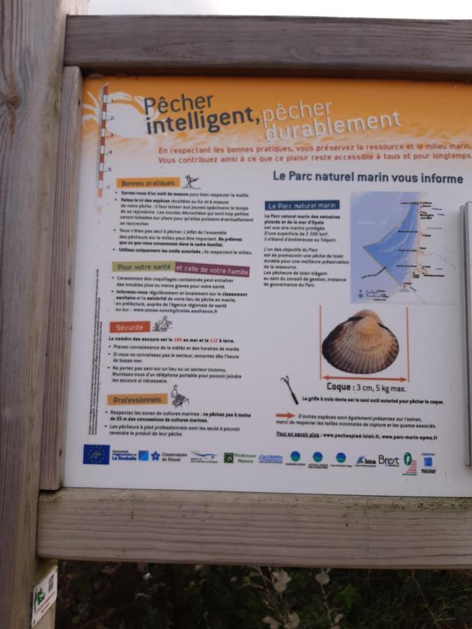 Les Obiones, Vue Laterale Mer, Fort Mahon Plage, Magnifique Studio Cabine 4P, Avec Balcon , Parking Prive Gratuit, Wifi, Classe 2 Etoiles, Exposition Plein Sud En Baie De Somme Fort-Mahon-Plage Exterior foto