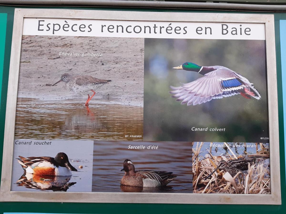 Les Obiones, Vue Laterale Mer, Fort Mahon Plage, Magnifique Studio Cabine 4P, Avec Balcon , Parking Prive Gratuit, Wifi, Classe 2 Etoiles, Exposition Plein Sud En Baie De Somme Fort-Mahon-Plage Exterior foto
