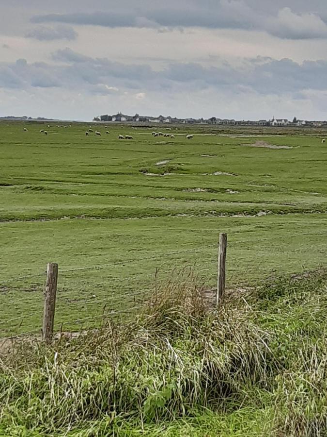 Les Obiones, Vue Laterale Mer, Fort Mahon Plage, Magnifique Studio Cabine 4P, Avec Balcon , Parking Prive Gratuit, Wifi, Classe 2 Etoiles, Exposition Plein Sud En Baie De Somme Fort-Mahon-Plage Exterior foto